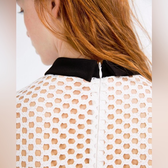 🛍️2for$20🛍️ [s] ZARA Dress white lace topped black with collar - Picture 4 of 13